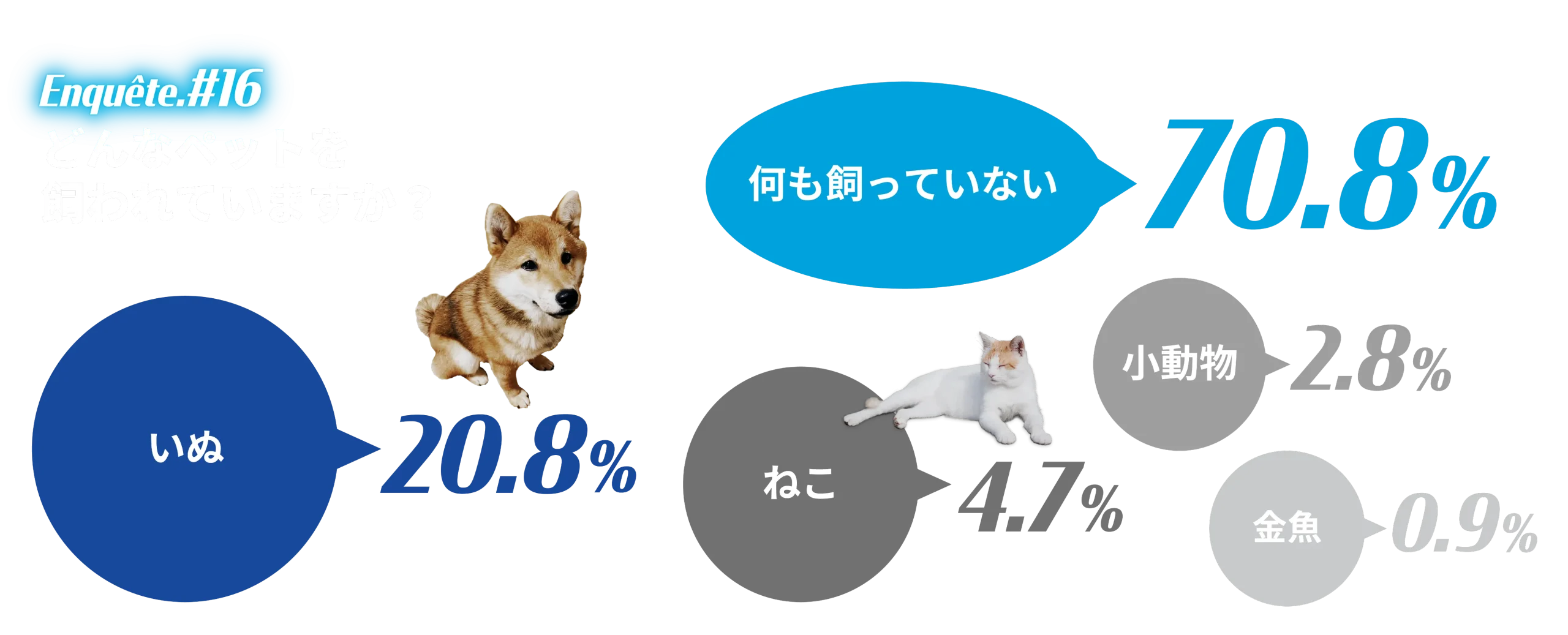 アンケート結果画像