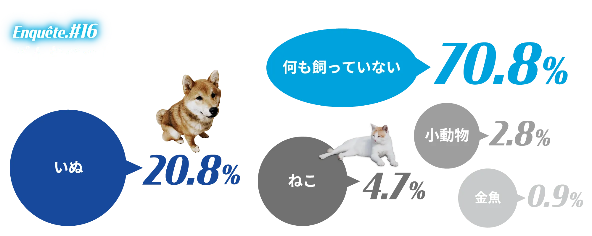 アンケート結果画像